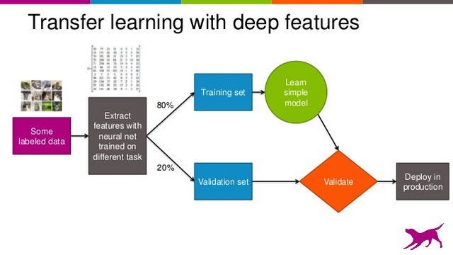 Transfer Learning Workflow